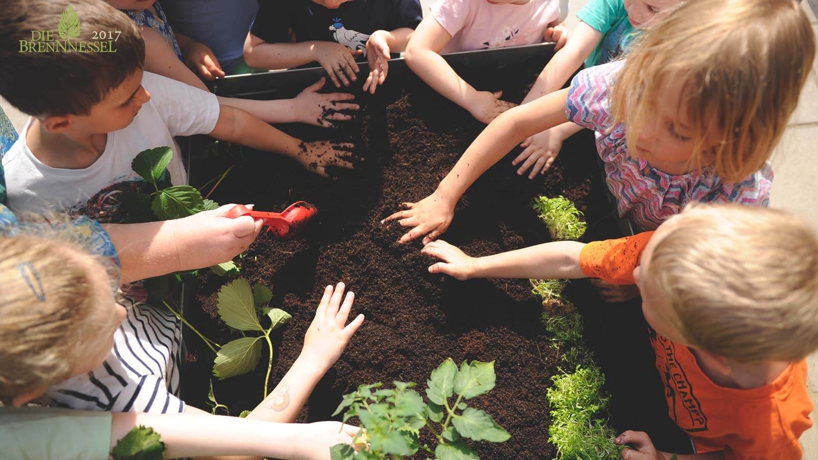  Foto zu Natur im Kindergarten: Was Hänschen nicht lernt... 