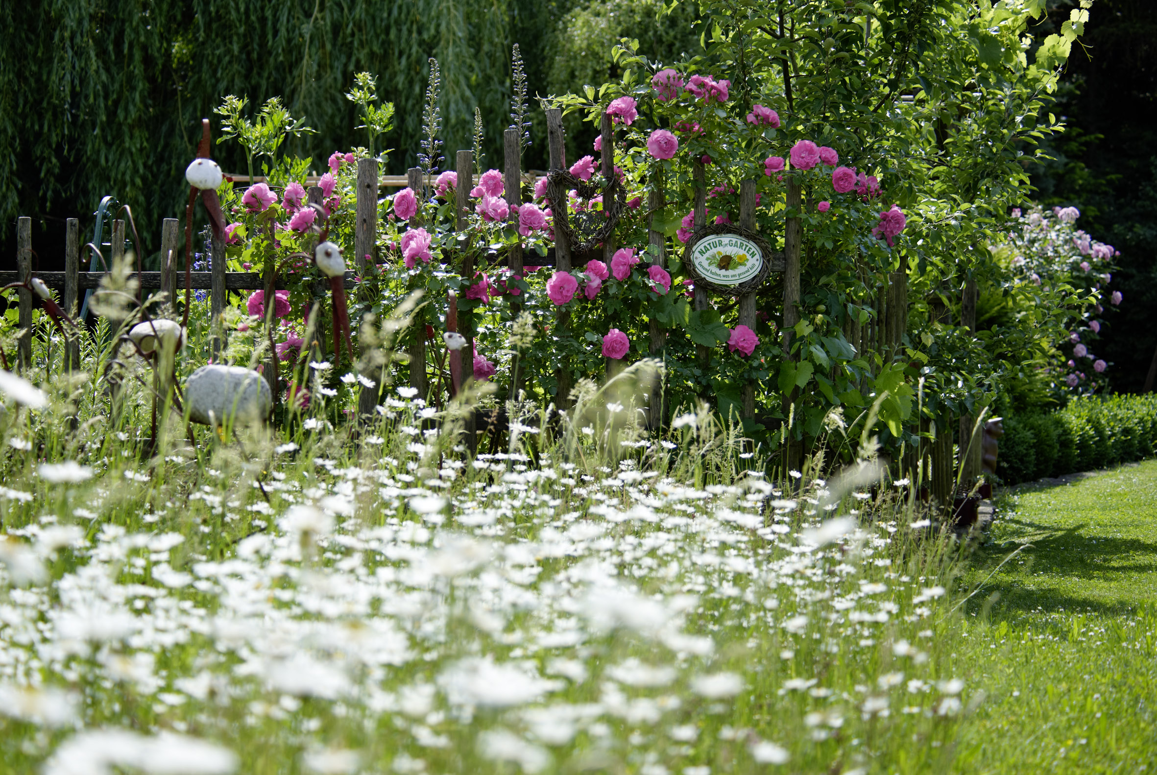 Natur im Garten Blühendes Österreich
