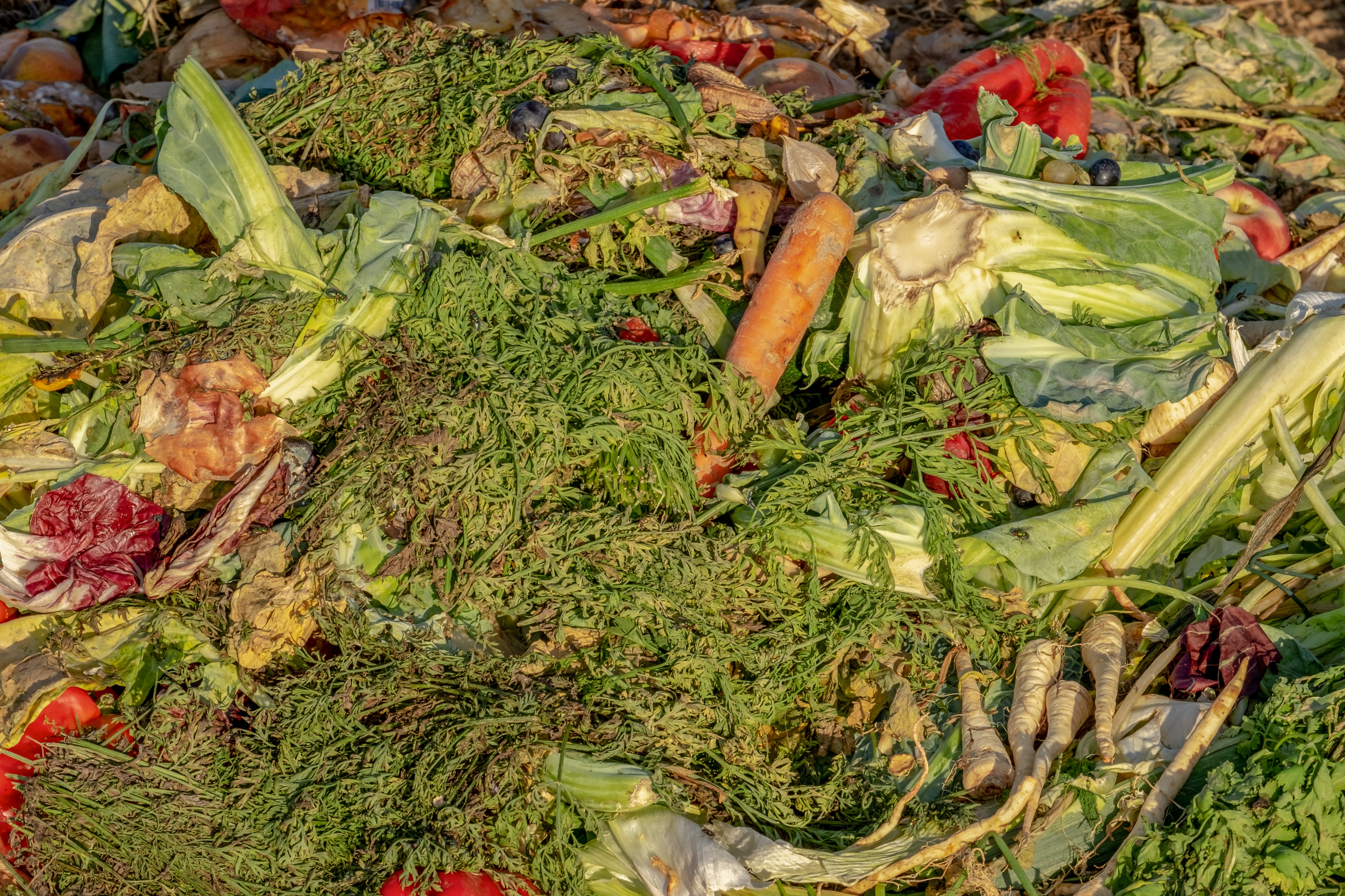 Остатки растительного происхождения. Пищевые и растительные отходы. Биоотходы пищевые отходы. Сельскохозяйственные отходы. Свалка пищевых отходов.