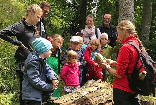 Beste Spielothek in Rosenau am Hengstpass finden Beste Spielothek in Rosenau am Hengstpass finden