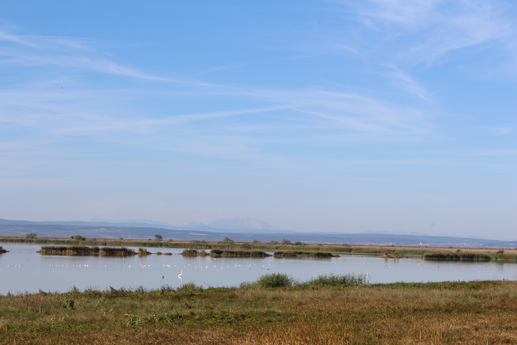 Grenzenlos: Der Naturraum Neusiedler See | Nationalpark Neusiedler See ...