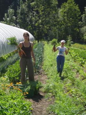 World-Wide Opportunities on Organic Farms