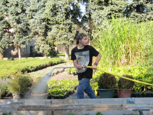 c LK Wien Green Care