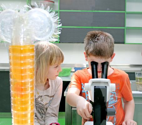 Unterwasserreich Kinder Mikroskopieren c Sonja Eder