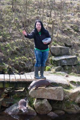Unterwasserreich Wassergarten c Sonja Eder