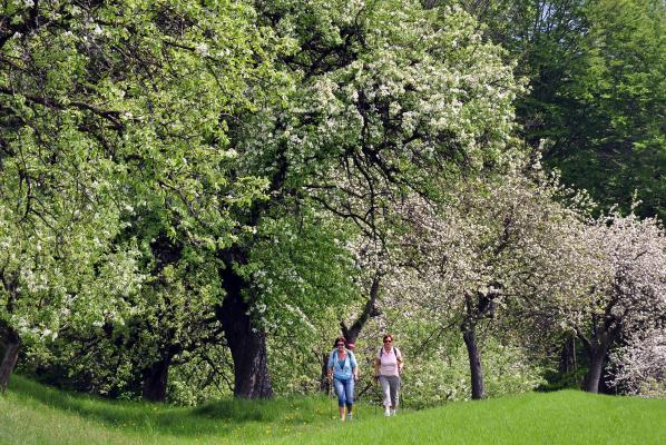 Steiermark Tourismus_Gery Wolf