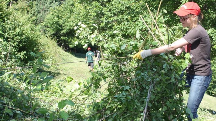 Arbeitseinsatz2 c OEAV © c Österreichischer Alpenverein