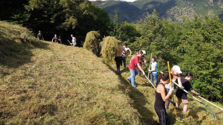 Arbeitseinsatz3 c OEAV © c Österreichischer Alpenverein