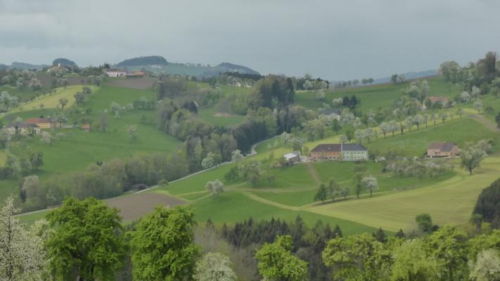 © c Martin Schönhart