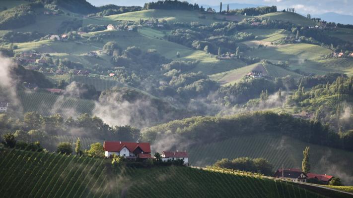 Südsteiermark