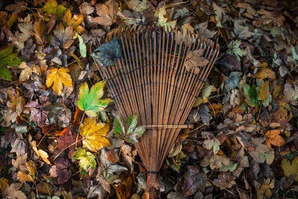 garten-winterfest-laub © (c) Pixabay Garten Winterfest