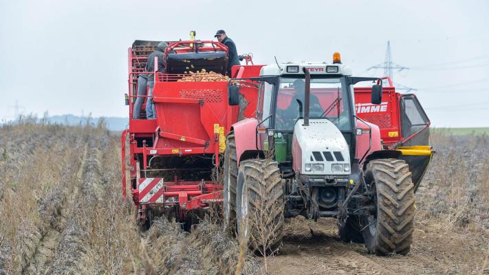 rauchberger_traktor_closeup_feld_c_rewe-international-group © c REWE International AG