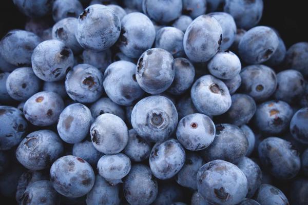 Heimisches Superfood - die Heidelbeere