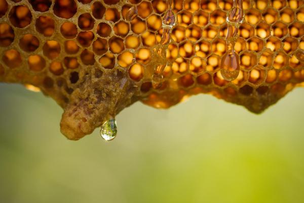 Credits: bluedog-studio / shutterstock © Credits: bluedog-studio / shutterstock