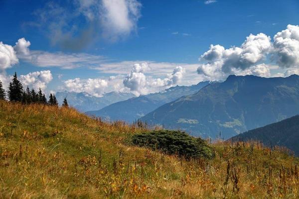 kraeuterwanderung-vorarlberg-pixabay- © (c) Pixabay Kraeuterwanderung Vorarlberg