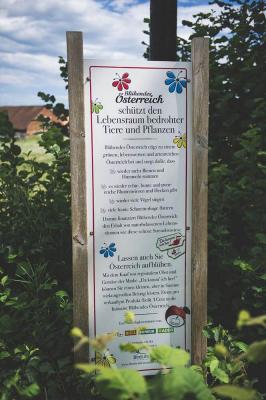 Lebensraum Streuobstwiese_Schild Blühendes Österreich