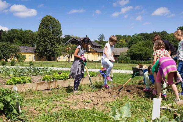 CityFarm_Gartenspasswoche Cityfarm Wien Kinder