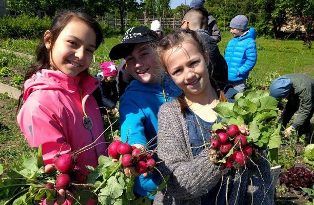 Cityfarm Wien Ernte Kinder