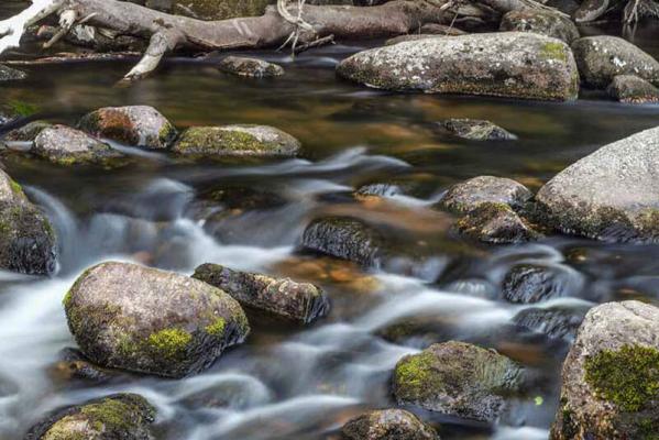 brennnessel-wasser- © (c) pixabay.com Brennnessel Wasser