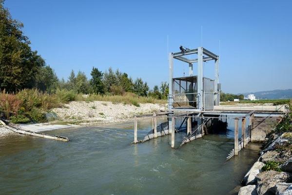 Renaturierung-Fischwanderhilfe---Ottensheim-Wilhering-Verbund Renaturierung Fischwanderhilfe
