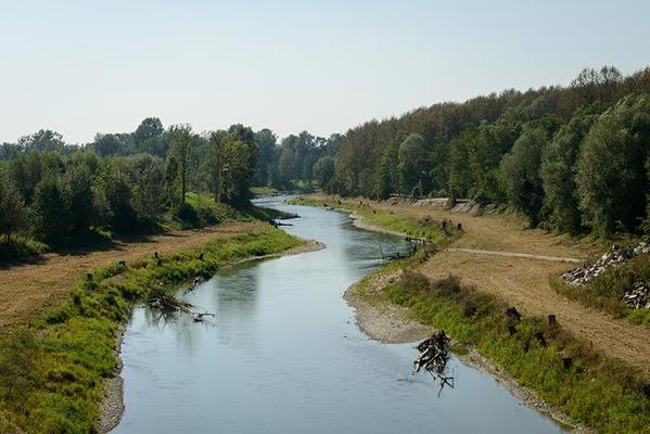 Renaturierung--Fischwanderhilfe-Ottensheim-Wilhering-Verbund Renaturierung Fischwanderhilfe