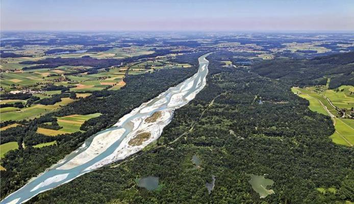 Rebnaturierung Salzachauen