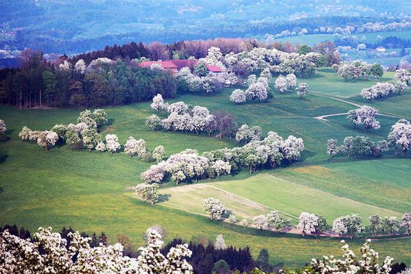 Moststraße im Frühling