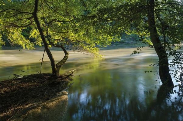 Donauauen
