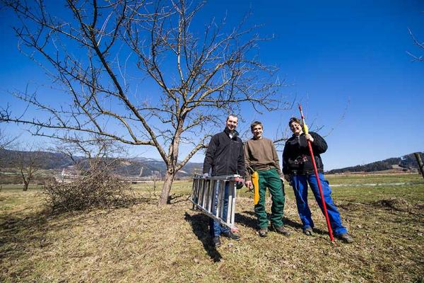 Obstbaumschnitt_nach-der-arbeit © (c) Blühendes Österreich / Alex Papis Obstbaumschnitt Streuobstwiese