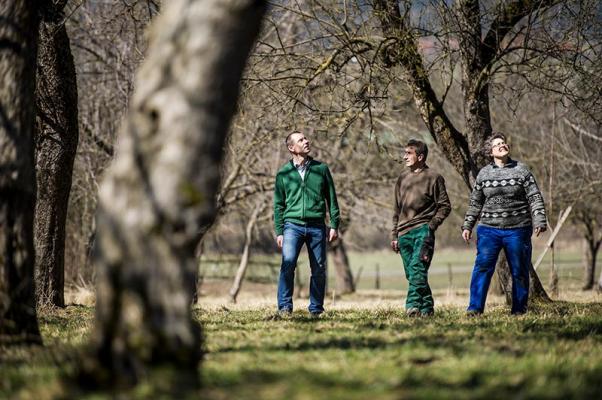 Obstbaumschnitt_Rundgang-begutachtung © (c) Blühendes Österreich / Alex Papis Obstbaumschnitt Streuobstwiese