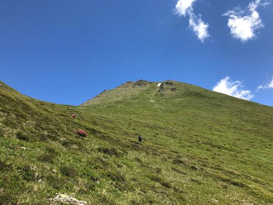Schafherde (c) Schwann © Schafherde (c) Schwann
