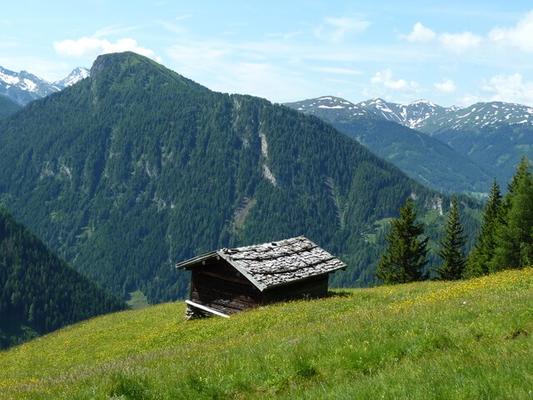 5-Bergwiesen-Heuschupfen-Ch-Schwann © (c) Ch Schwann