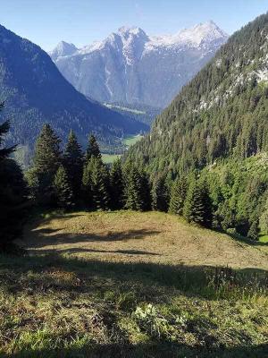 Almwiese maehen