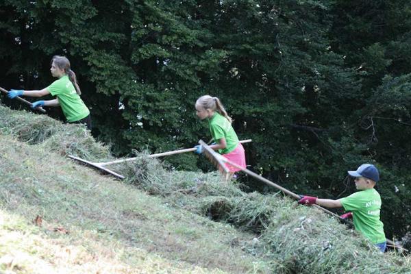 IMG_3140 © (c) Alpenverein Leogang Almwiese maehen