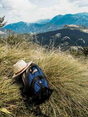 Kräuterwanderung im Nationalpark (c) Eva Schober © Kräuterwanderung im Nationalpark (c) Eva Schober