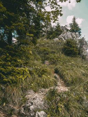 Felsige Wanderpfade (c) Eva Schober © Felsige Wanderpfade (c) Eva Schober