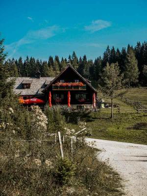 Schüttbauer Alm in Unterlaussa (c) Eva Schober © Schüttbauer Alm in Unterlaussa (c) Eva Schober