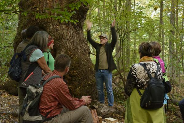 Wien / Lainzer Tiergarten: Exkursion in das Naturwaldreservat "Johannserkogel" mit Forstleiter Hannes Lutterschmied (c) Matthias Schickhofer