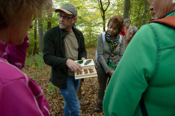 Wien / Lainzer Tiergarten: Exkursion in das Naturwaldreservat "Johannserkogel" mit Forstleiter Hannes Lutterschmied (c) Matthias Schickhofer