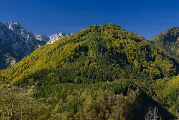 Nationalpark Kalkalpen