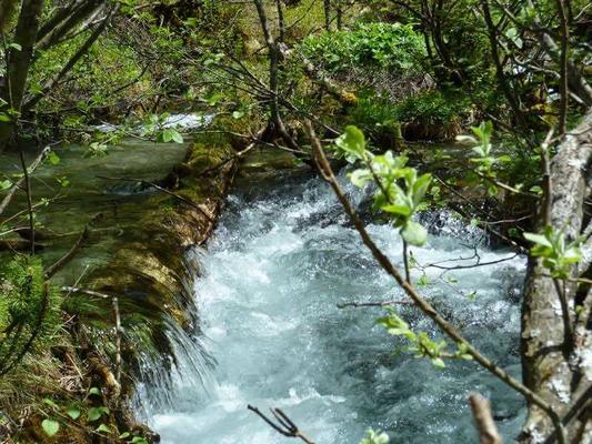 Schödertal im Großarltal, Nationalpark Hohe Tauern; Foto: Ch. Schwann © Schödertal im Großarltal, Nationalpark Hohe Tauern; Foto: Ch. Schwann Gebirgsbach im Schödertal, Nationalpark Hohe Tauern