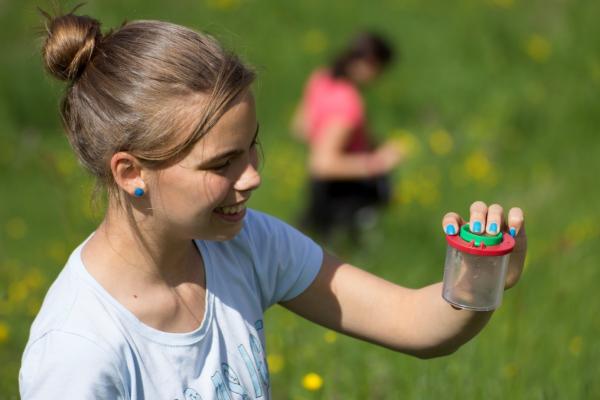 Naturerfolg Tagfalter Monitoring: Artenvielfalt begeistert: Mädchen bei Bestandserhebung der Schmetterlinge