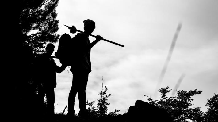 Bergwaldprojekt