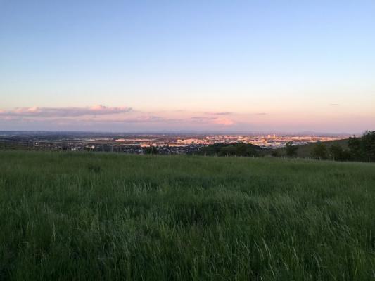 Blick über Wien