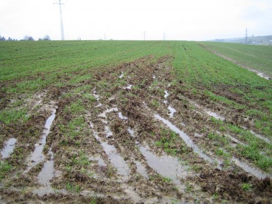 Bodenverdichtung am Acker