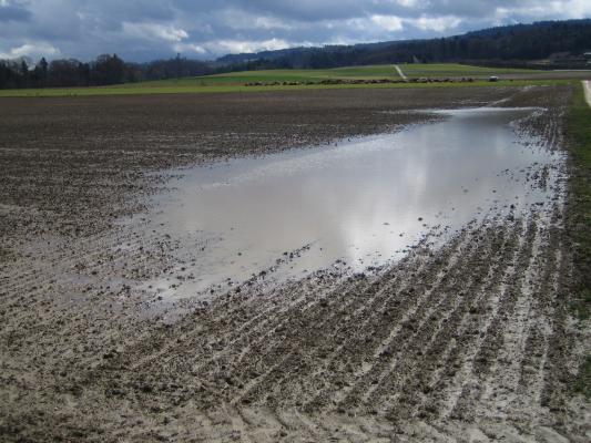 Bodenverdichtung, Acker, Erosion