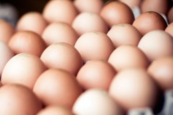 © Alex Papis / Blühendes Österreich Eier aus Freilandhaltung