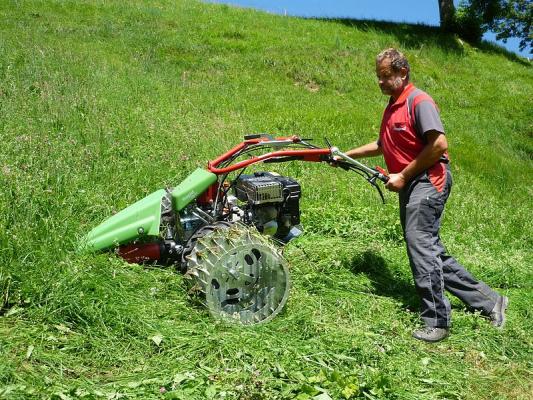 Motormäher im Einsatz