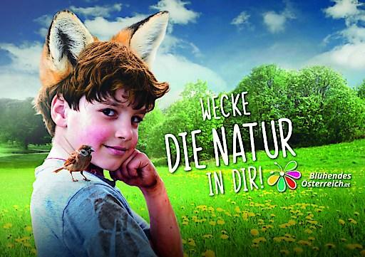 Naturttyp Fuchsjunge, wecke die Natur in dir