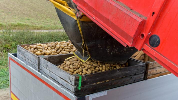 © REWE International AG Befüllung am Feld